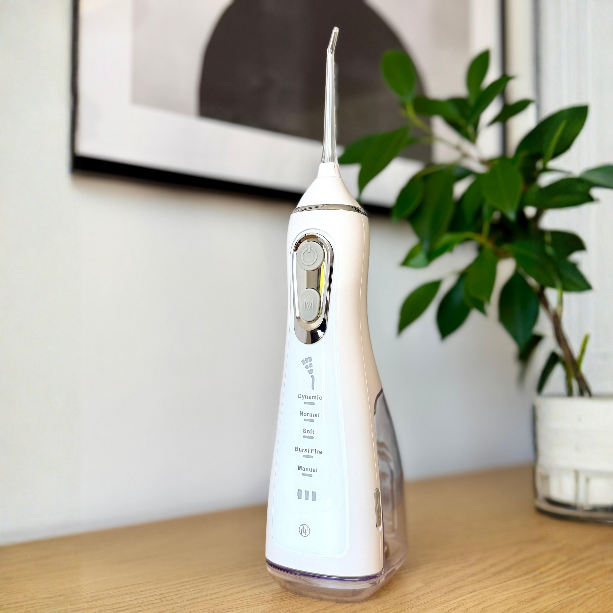 LUXE Water Flosser